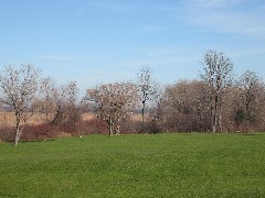 Braddock Bay Park; Day Trips Hiking