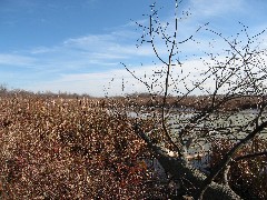 Braddock Bay Park; Cranberry Pond Nature Trail