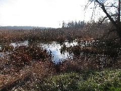 Braddock Bay Park; Cranberry Pond Nature Trail