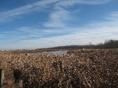 Braddock Bay Park; Cranberry Pond Nature Trail