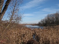 Braddock Bay Park; Cranberry Pond Nature Trail