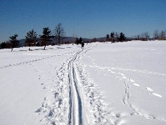 Bristol Golf Course