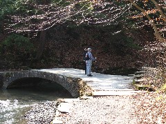 Lyn Jacobs; Ruth Bennett McDougal Dorrough; Hiking; Day Trips; Buttermilk Falls