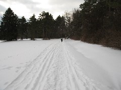 Hiking; Day Trips; Canadice Lake