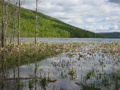 Hiking; Day Trips; Canadice Lake; Geese