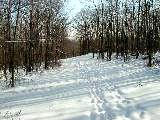 Hiking Day Trips Canandaigua Lake Dugway Road