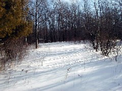 Ruth Bennett McDougal Dorrough; Ontario Pathways Trail day trips