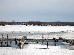 Canandaigua Lake; Gulls on the ice; birds