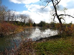 Lagoon Park Canandaigua Lake