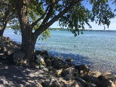 ducks; Kershaw Park, Canandaigua Lake, NY