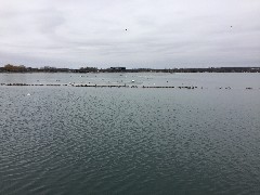 Canandaigua Lake