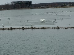 Canandaigua Lake