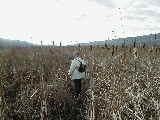 Ruth Bennett McDougal Dorrough; hike around Canandaigua Lake