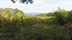 Canandaigua Vista Preserve