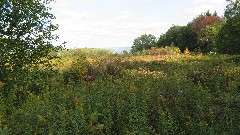 Canandaigua Vista Preserve