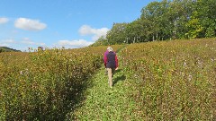 Canandaigua Vista Preserve