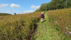 Canandaigua Vista Preserve