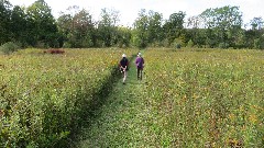 Canandaigua Vista Preserve