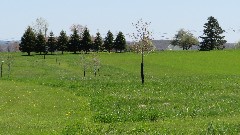 Canandaigua Vista Preserve