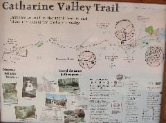 Hiking; Day Trips; Catharine Valley Trail