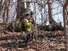 Lyn Jacobs; Hiking; Day Trips; Catharine Valley Trail