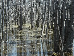 Hiking Day Trips Cayuga County Trail