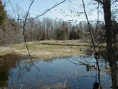 Hiking Day Trips Cayuga County Trail