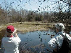 Lyn Jacobs; Ruth Bennett McDougal Dorrough; Hiking Day Trips Cayuga County Trail