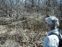 Ruth Bennett McDougal Dorrough; Hiking Day Trips Cayuga County Trail