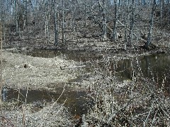 Hiking Day Trips Cayuga County Trail