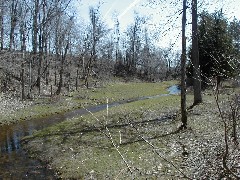 Hiking Day Trips Cayuga County Trail