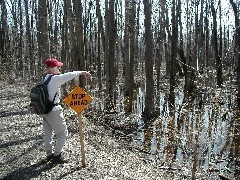 Lyn Jacobs; Hiking Day Trips Cayuga County Trail