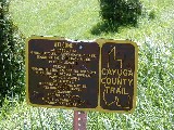 Hiking Day Trips Cayuga County Trail