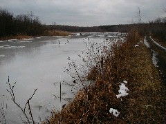 Hiking Day Trips Cayuga County Trail