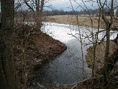 Hiking Day Trips Cayuga County Trail