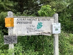 Chaumont Barrens Preserve