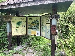 Chaumont Barrens Preserve