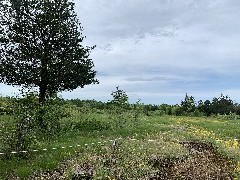 Chaumont Barrens Preserve