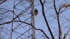 Microwave tower; Cutler Boy Scout Camp