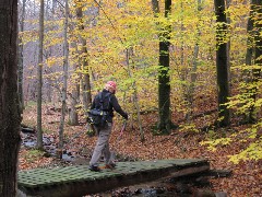 Lyn Jacobs; Cutler Boy Scout Camp