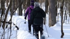 Ben Dorrough; Ruth Bennett McDougal Dorrough; FLCC Boardwalk in swamp near CMAC