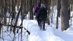 Ben Dorrough; Ruth Bennett McDougal Dorrough; FLCC Boardwalk in swamp near CMAC