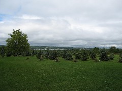 View from hill above FLCC