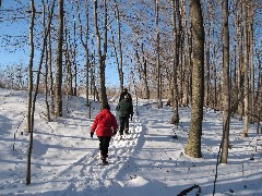 Claudia Welbourne; Porter Welbourne; Ruth Bennett McDougal Dorrough; Hiking; Day Trips; FLCC