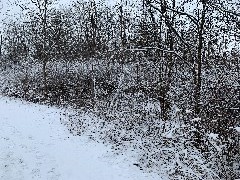 FLCC trails Canandaigua, NY