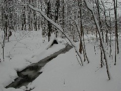 FLCC hike; day trips snow