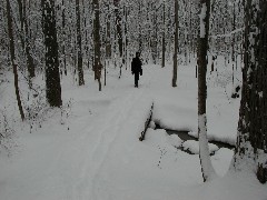 FLCC hike; day trips snow