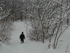 FLCC hike; day trips snow