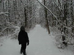 FLCC hike; day trips snow