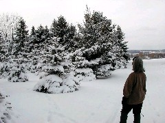 Ruth Bennett McDougal Dorrough; FLCC hike; day trips snow